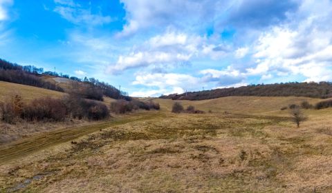 Sale Land – for living, Land – for living, Levočská, Prešov, Slovakia