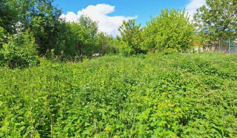 Sale Gardens, Gardens, Nové Zámky, Slovakia