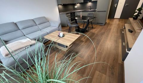 Rent One bedroom apartment, One bedroom apartment, Novomestská, Trnava