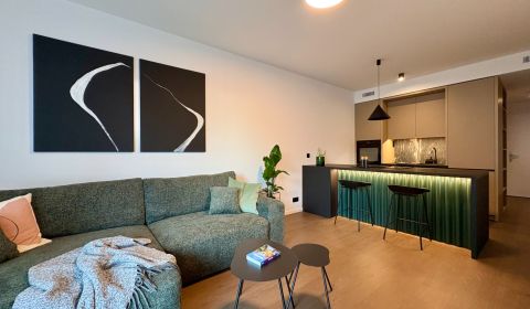 Rent One bedroom apartment, One bedroom apartment, Školská, Bratislava