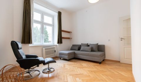 Spacious 3-bedroom apartment with garden, Old Town