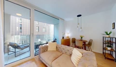 BA I/VYDRICA-Renting a large 1-room apartment with a spacious balcony