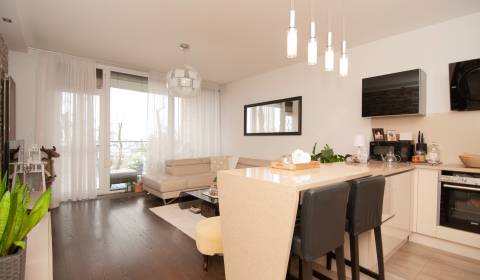 Sale One bedroom apartment, One bedroom apartment, Na pažiti, Bratisla