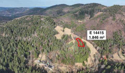 Sale Agrarian and forest land, Agrarian and forest land, Púchov, Slova