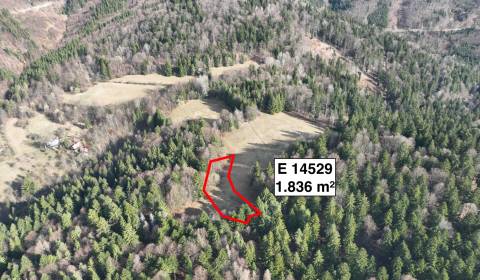 Sale Agrarian and forest land, Agrarian and forest land, Púchov, Slova