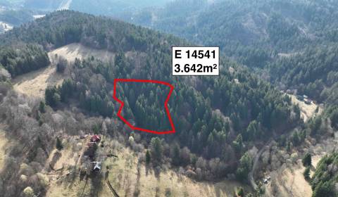 Sale Agrarian and forest land, Agrarian and forest land, Púchov, Slova