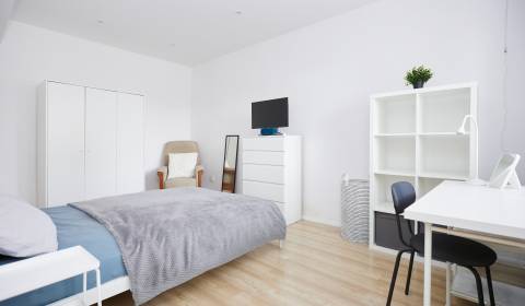 Sale One bedroom apartment, One bedroom apartment, Lomnická, Košice - 