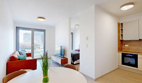 Rent One bedroom apartment, One bedroom apartment, Bottova, Bratislava