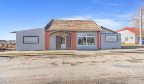 Sale Commercial premises, Commercial premises, Dunajská Streda, Slovak