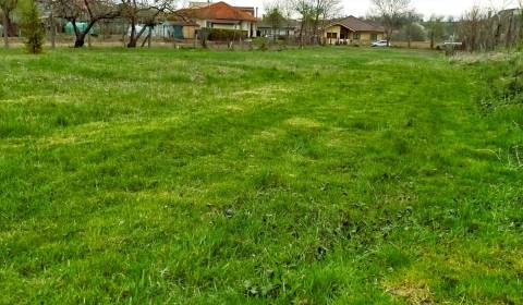 Sale Land – for living, Land – for living, Šaľa, Slovakia