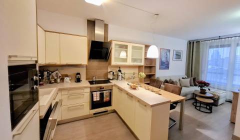 Rent One bedroom apartment, One bedroom apartment, Drieňová, Bratislav