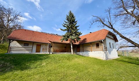 Sale Family house, Family house, Senica, Slovakia