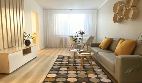 Sale One bedroom apartment, One bedroom apartment, Jurigovo nám., Brat