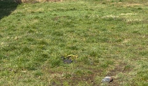 Sale Land – for living, Land – for living, Michalovce, Slovakia