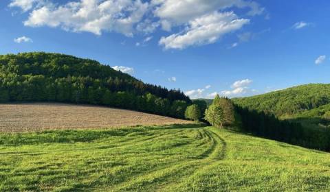 Sale Agrarian and forest land, Agrarian and forest land, Púchov, Slova