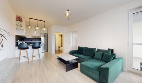 Sale One bedroom apartment, One bedroom apartment, Na pažiti, Trenčín,
