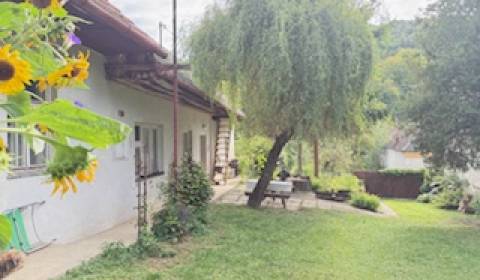 Sale Family house, Family house, Krúd - Bodovka, Trenčín, Slovakia