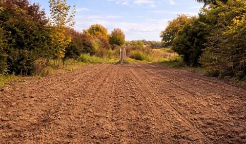 Sale Land – for living, Land – for living, Dunajská Streda, Slovakia