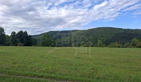 Sale Land – for living, Land – for living, Detva, Slovakia