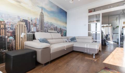 Furnished 1-bedroom apartment near Horský park, Old Town