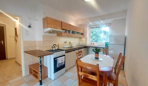 Rent One bedroom apartment, One bedroom apartment, Obrancov mieru, Pre