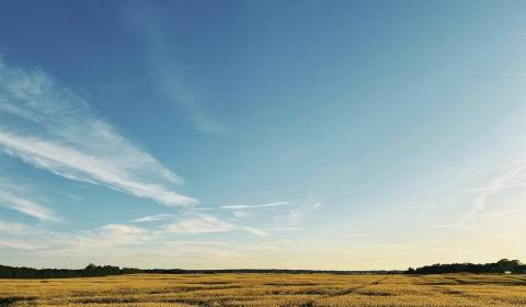 Sale Agrarian and forest land, Agrarian and forest land, Pezinok, Slov