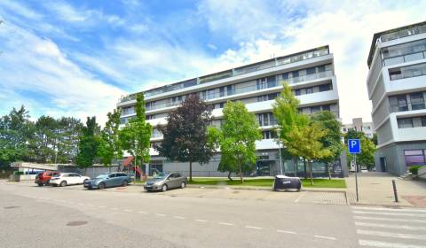 Sale Two bedroom apartment, Two bedroom apartment, Pri vinohradoch, Br