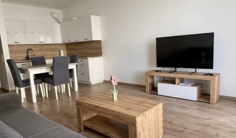 Rent One bedroom apartment, One bedroom apartment, Hany Ponickej, Brat