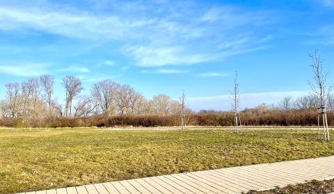 Sale Land – for living, Land – for living, Senec, Slovakia