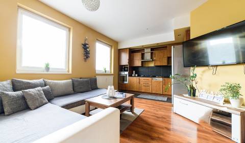 Rent One bedroom apartment, One bedroom apartment, Armádna, Trenčín, S