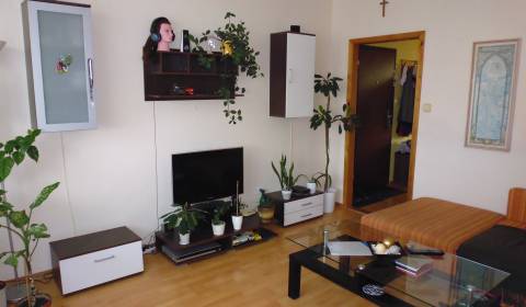 Rent One bedroom apartment, One bedroom apartment, Prešov, Slovakia