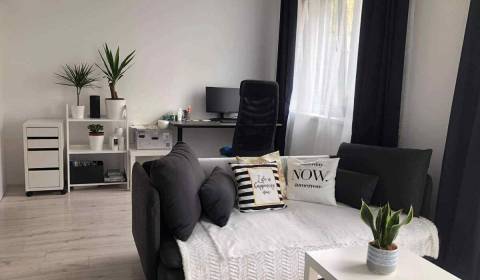 Sale One bedroom apartment, One bedroom apartment, Bratislava - Poduna