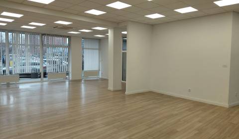 Rent Commercial premises, Commercial premises, Hálkova, Bratislava - N