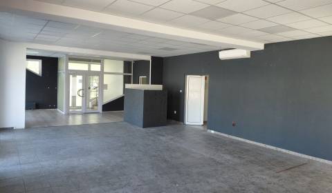 Rent Commercial premises, Commercial premises, Hálkova, Bratislava - N