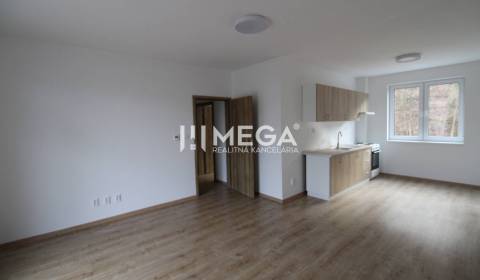 Rent One bedroom apartment, One bedroom apartment, Pakostov, Humenné, 
