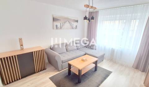 Rent One bedroom apartment, One bedroom apartment, Nemocničná 21, Hume