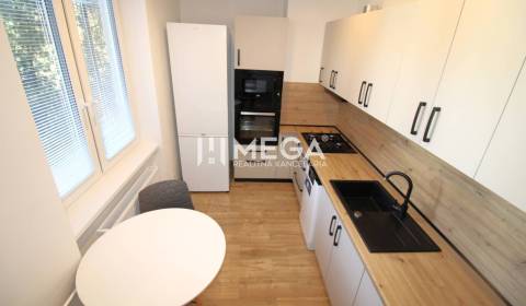 Rent One bedroom apartment, One bedroom apartment, Dobrianskeho, Humen