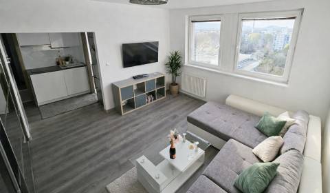 Rent One bedroom apartment, One bedroom apartment, Fedinova, Bratislav