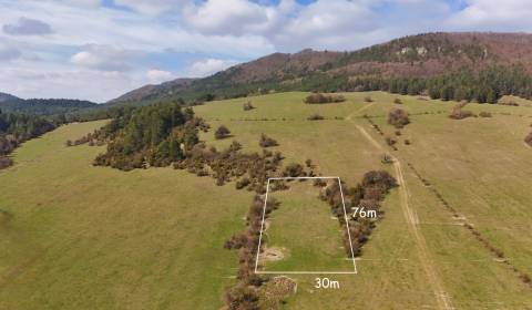 Sale Agrarian and forest land, Agrarian and forest land, Žilina, Slova