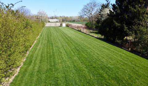 Sale Land – for living, Land – for living, Dunajská Streda, Slovakia