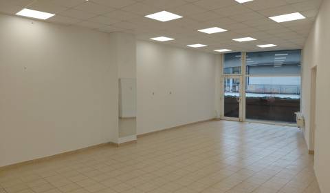 Rent Commercial premises, Commercial premises, Hálkova, Bratislava - N