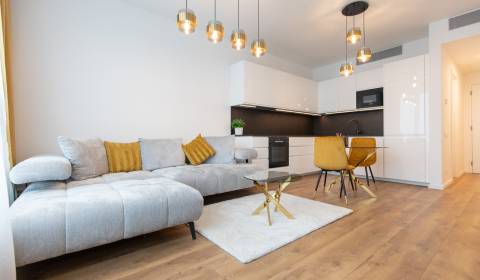 1-bedroom apartment in Sky Park