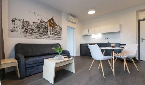 1-bedroom apartment with balcony, Old Town