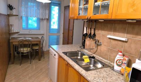 Rent Two bedroom apartment, Two bedroom apartment, Kempelenova, Bratis