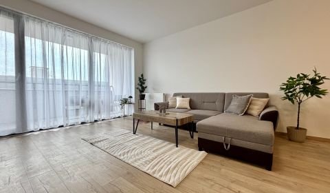Rent One bedroom apartment, One bedroom apartment, Františkánska, Trna