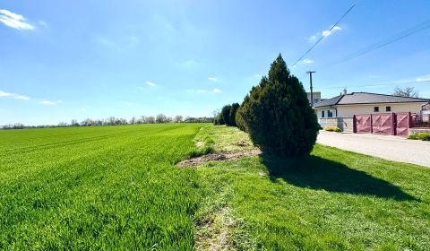Sale Land – for living, Land – for living, Nové Zámky, Slovakia