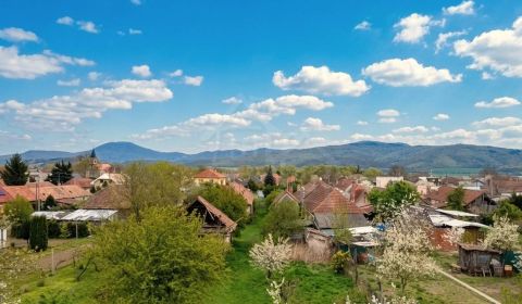 Sale Family house, Family house, Nitra, Slovakia