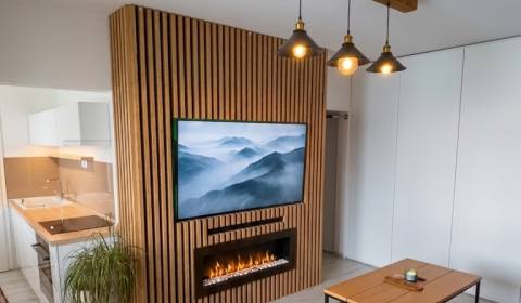 Rent One bedroom apartment, One bedroom apartment, Pádivého, Trenčín, 