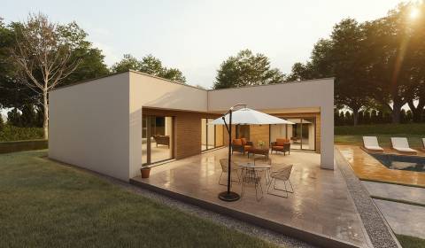 Sale Family house, Family house, Trenčín, Slovakia