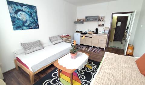 Sale Single studio, Single studio, Nové Zámky, Slovakia